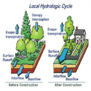 hydrologicCycle